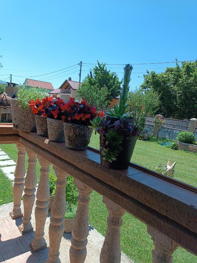 Calm Nest Apartment Nikšić Bagian luar foto