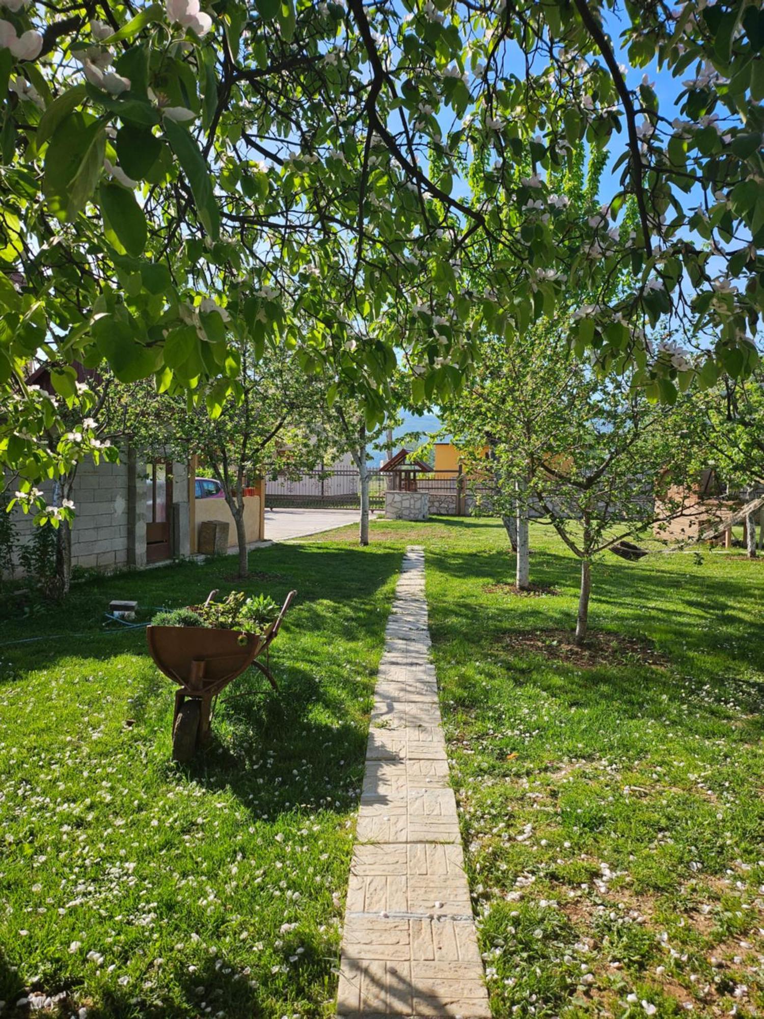 Calm Nest Apartment Nikšić Bagian luar foto