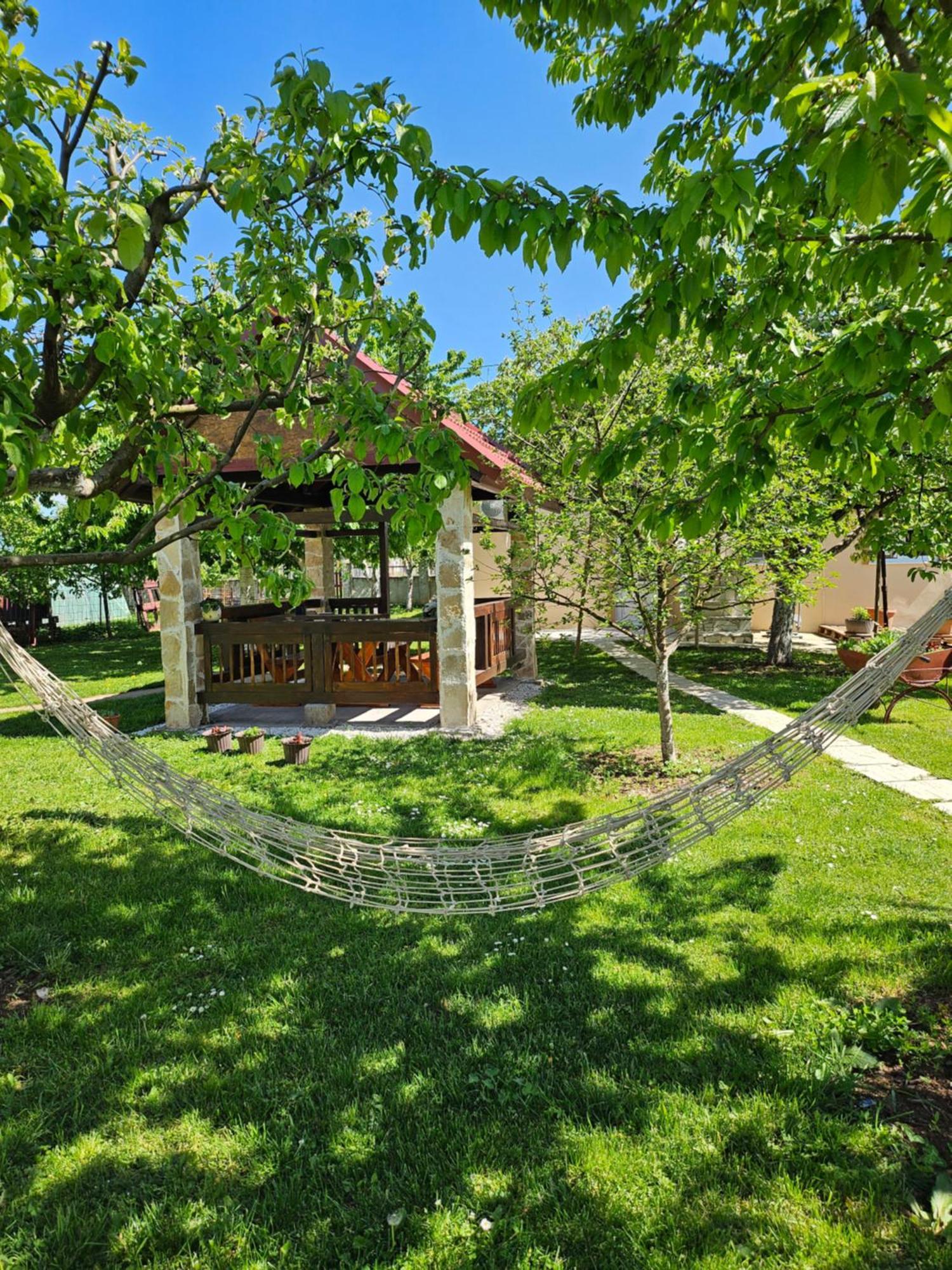 Calm Nest Apartment Nikšić Bagian luar foto