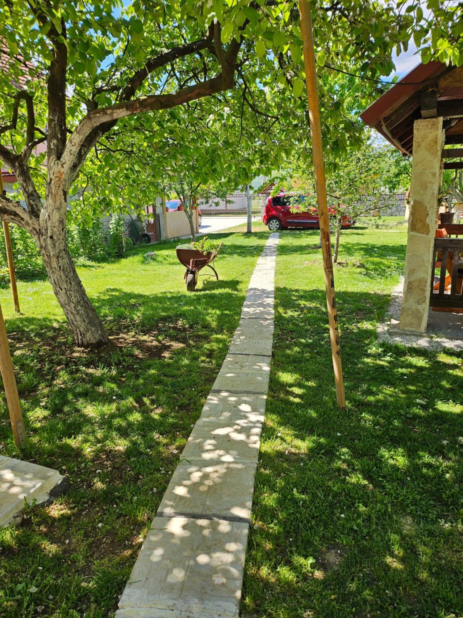 Calm Nest Apartment Nikšić Bagian luar foto
